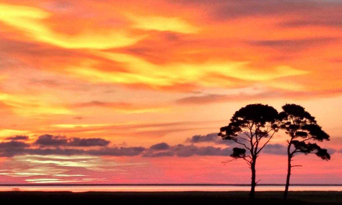 Cape Charles House | SEASIDE PRIVATE RETREAT! 100-Acre Private WATERFRONT Home Stunning island views