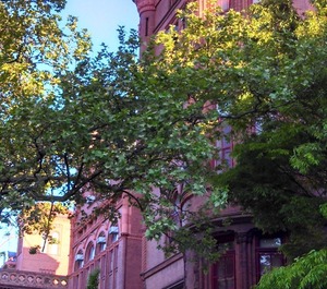 Brooklyn 