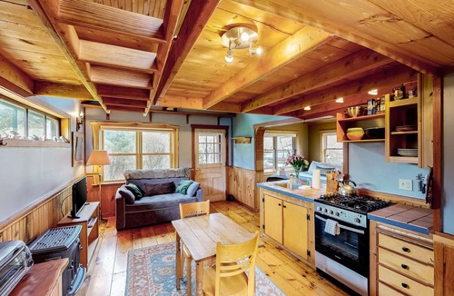 Northfield Apartment | Cozy studio cabin with free WiFi, gas fireplace, and patio