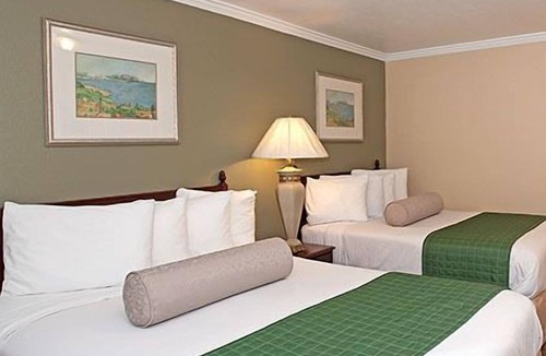 Williams Hotel | Traveler's Inn