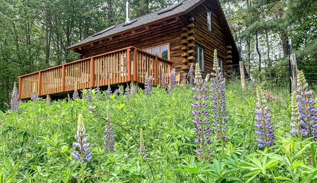 Authentic log cabin with Mt Washington view
