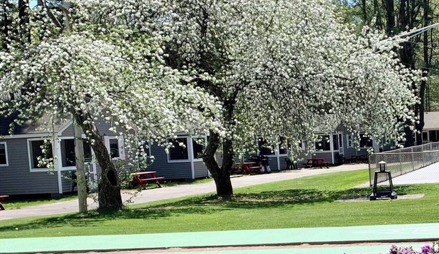 Elmwood Motor Court