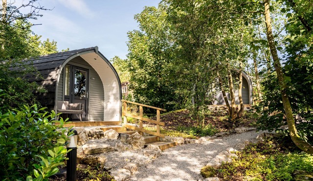 Long Ashes - Pip- sleeps 2