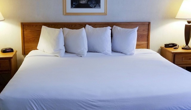 Magnuson Hotel Ely