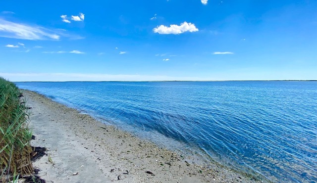 Mastic Beach Surf House