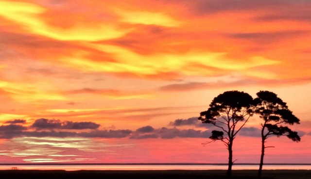 SEASIDE PRIVATE RETREAT! 100-Acre Private WATERFRONT Home Stunning island views