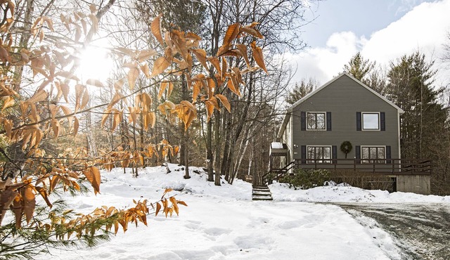 Secluded contemporary home abuts green space. Walking trails outside your door.