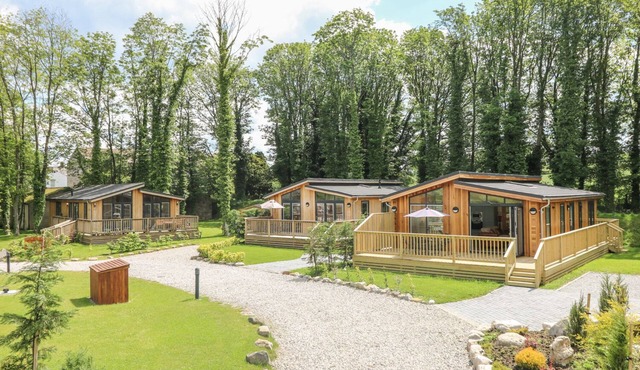 Squirrel Lodge