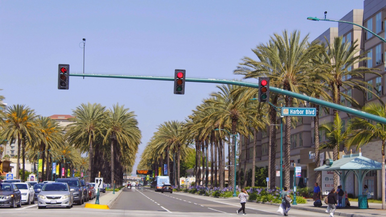 Photo of Others in Anaheim Resort